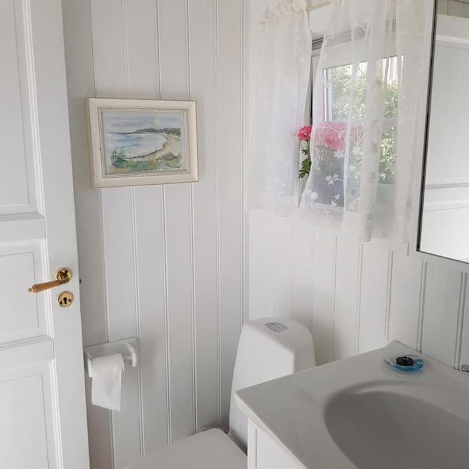 Ferienwohnung Lys Og Lettstelt Leilighet Med Utsikt Over Byen Sandefjord Exterior foto