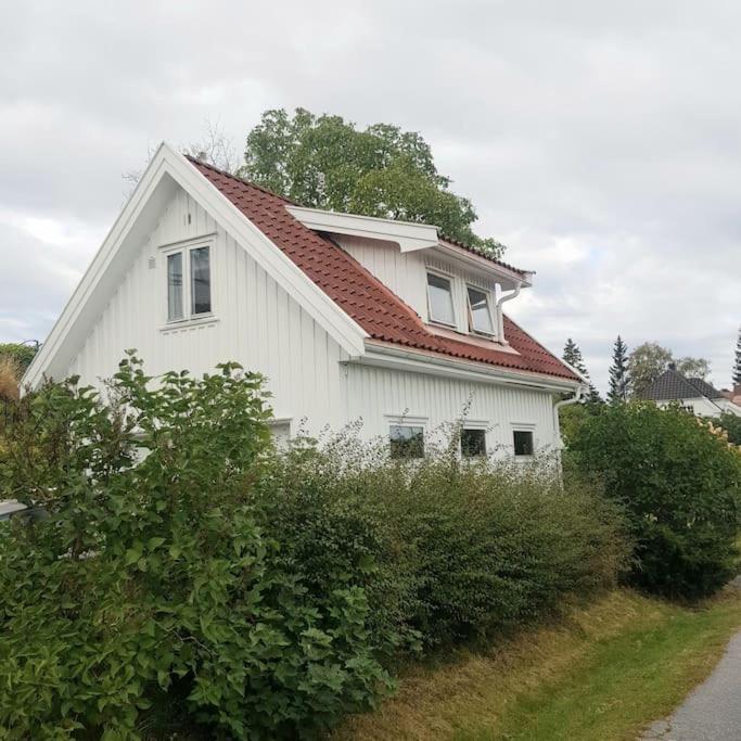 Ferienwohnung Lys Og Lettstelt Leilighet Med Utsikt Over Byen Sandefjord Exterior foto